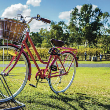 MEDIO AMBIENTE  Y CICLISMO